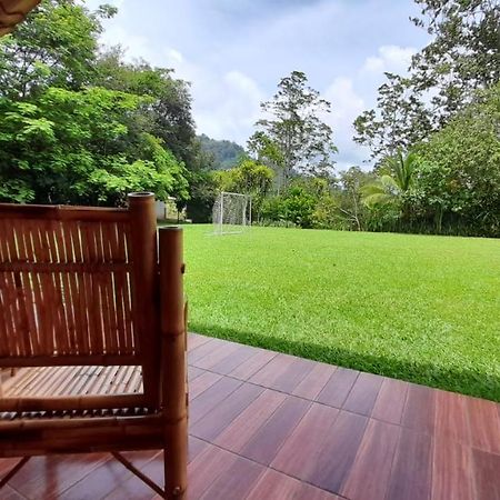 Hospedaje Amanecer Bed & Breakfast Turrialba Exterior photo