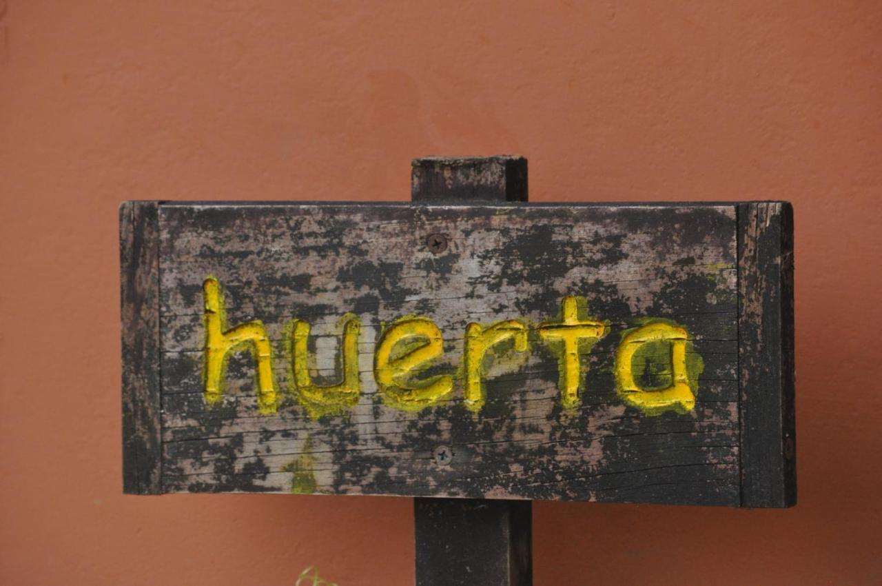 Hospedaje Amanecer Bed & Breakfast Turrialba Exterior photo