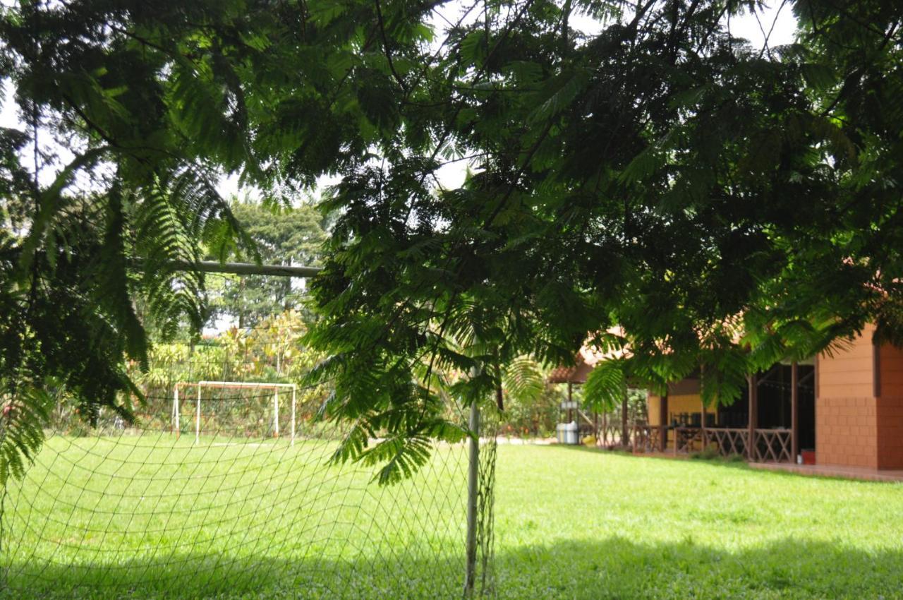 Hospedaje Amanecer Bed & Breakfast Turrialba Exterior photo