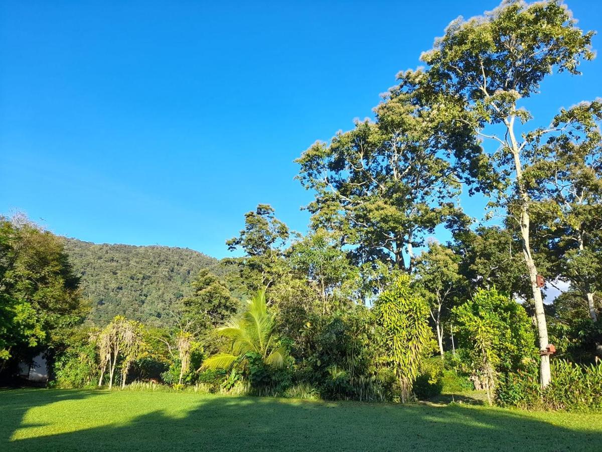 Hospedaje Amanecer Bed & Breakfast Turrialba Exterior photo