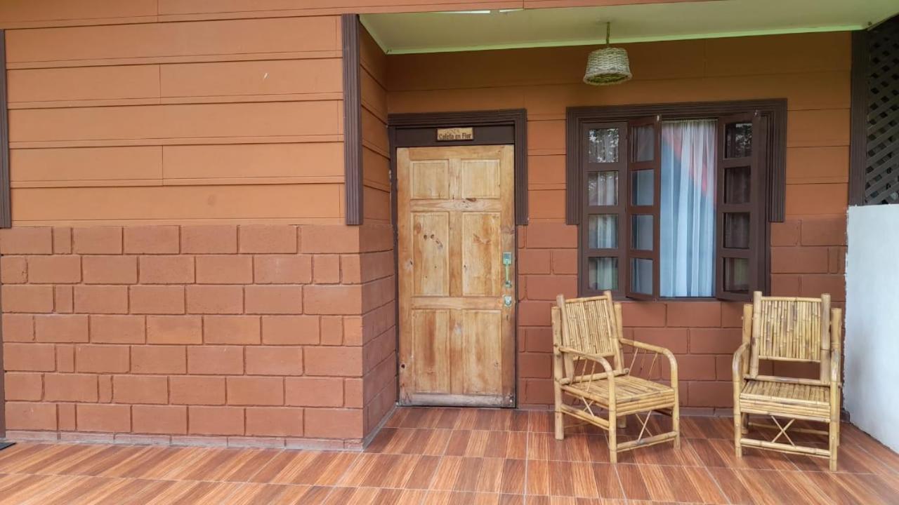 Hospedaje Amanecer Bed & Breakfast Turrialba Exterior photo