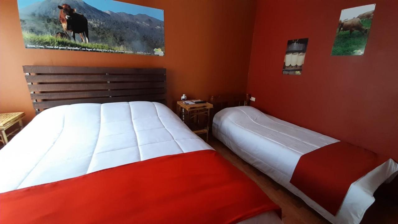 Hospedaje Amanecer Bed & Breakfast Turrialba Exterior photo