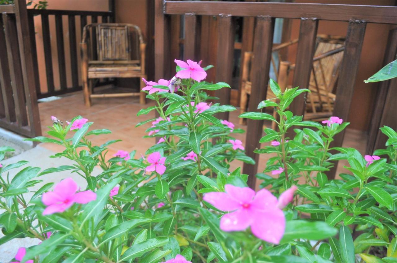 Hospedaje Amanecer Bed & Breakfast Turrialba Exterior photo