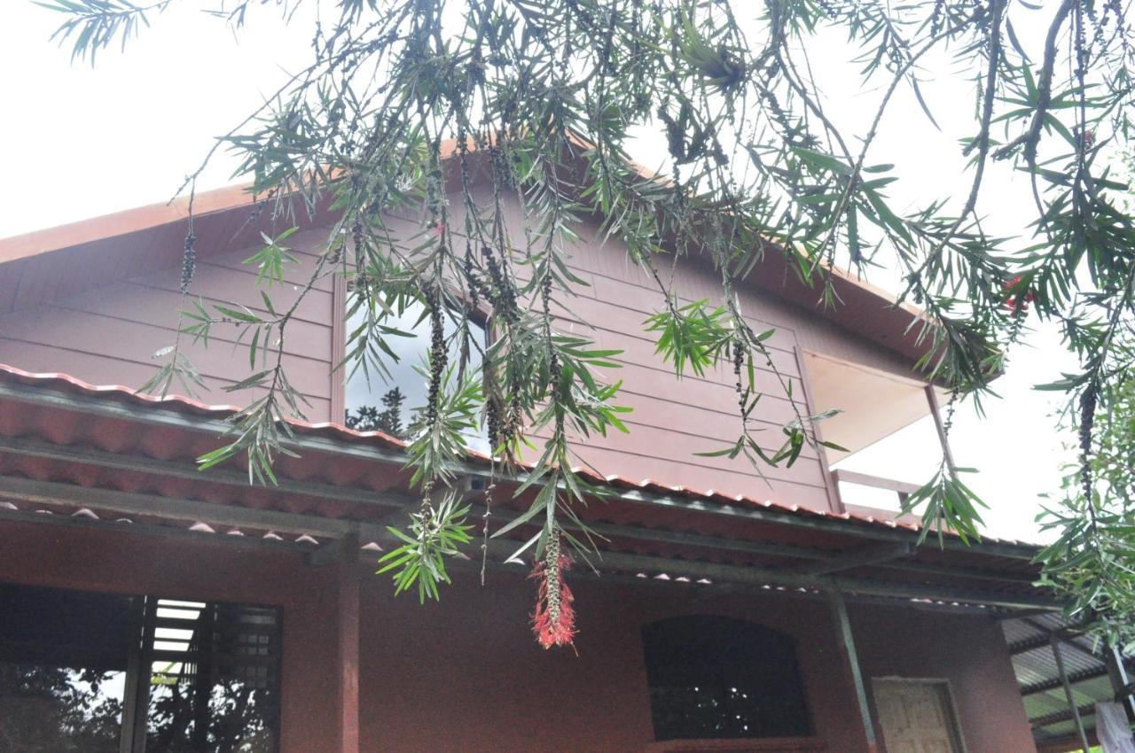 Hospedaje Amanecer Bed & Breakfast Turrialba Exterior photo